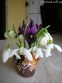 Подснежник белоснежный (Galanthus nivalis) - 7