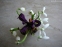 Подснежник белоснежный (Galanthus nivalis) - 8