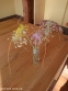 Лук килеватый хорошенький (Allium carinatum subsp. pulchellum) - 3